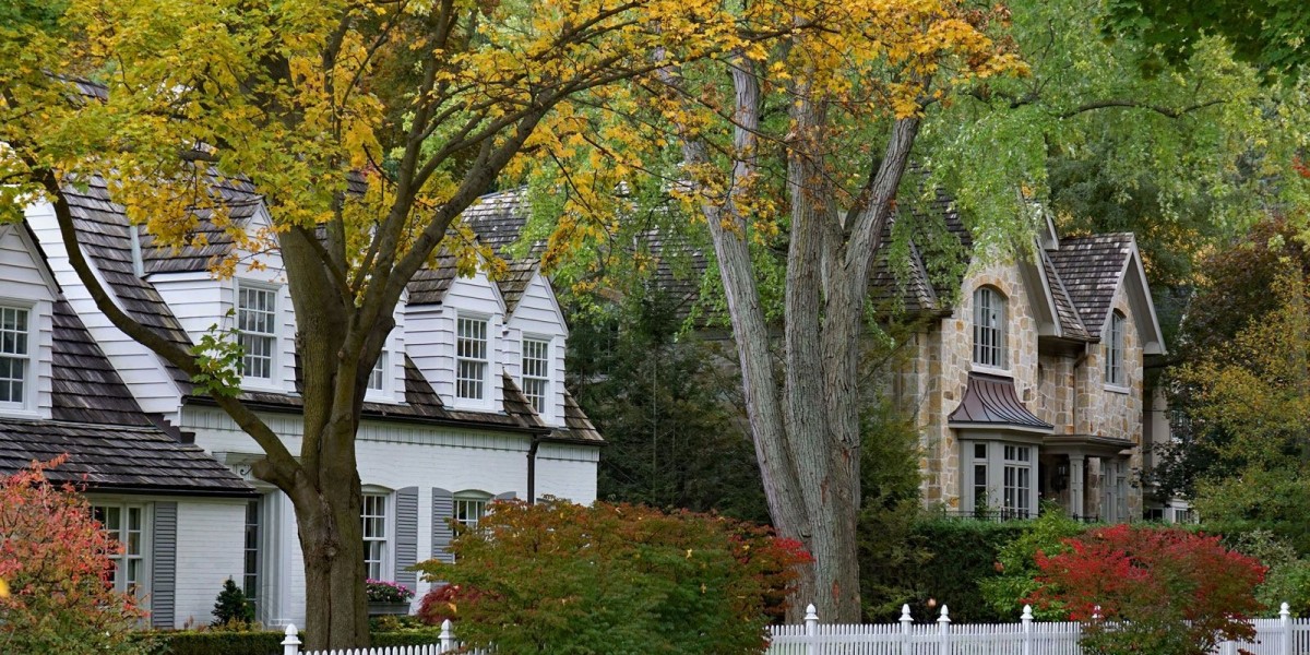 Tree Removal Tips to Keep Your Yard Safe and Beautiful