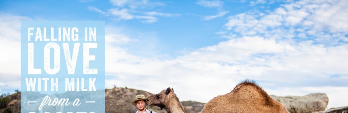 desert farms Cover Image
