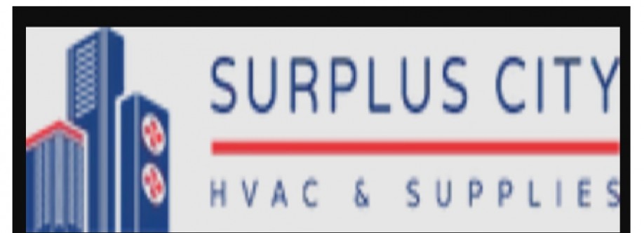 Surplus City Cover Image