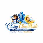 classy clean expert Profile Picture