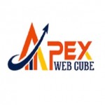 Apex Web Cube Profile Picture