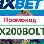 xbet offer Profile Picture