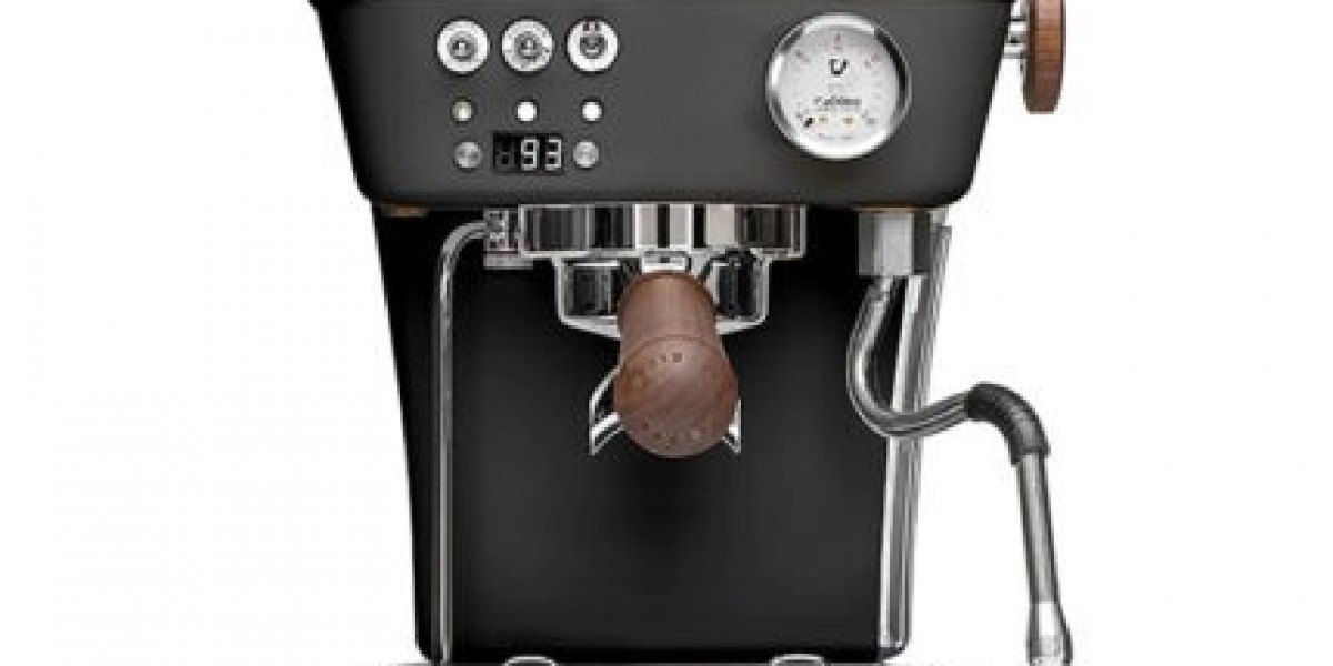 Ascaso Steel Duo Espresso Machine – Premium Ascaso Duo Steel for Home Baristas
