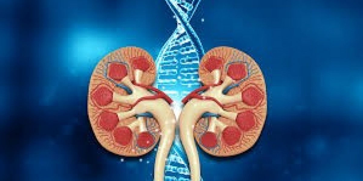 Understanding IgA Nephropathy: Symptoms, Diagnosis, and the Role of Genetic Testing
