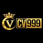 PlayCV999 com Profile Picture