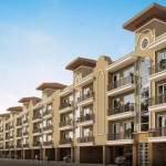 Jubilee Mohali Profile Picture