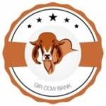 Gir Cow Bank Profile Picture