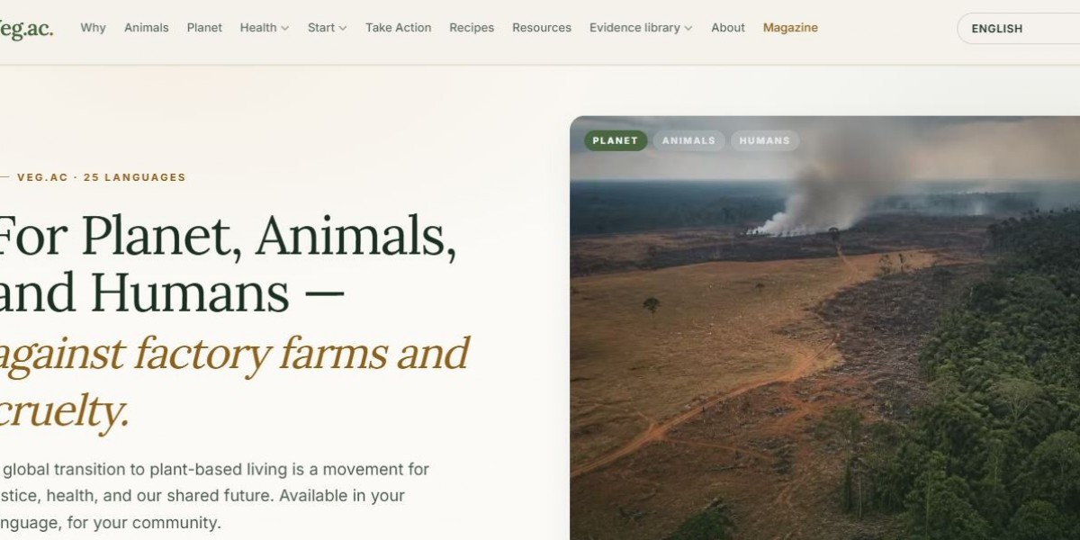 Animal Welfare: Creating a Better Future for Animals