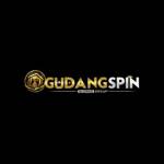 gudang spin Profile Picture