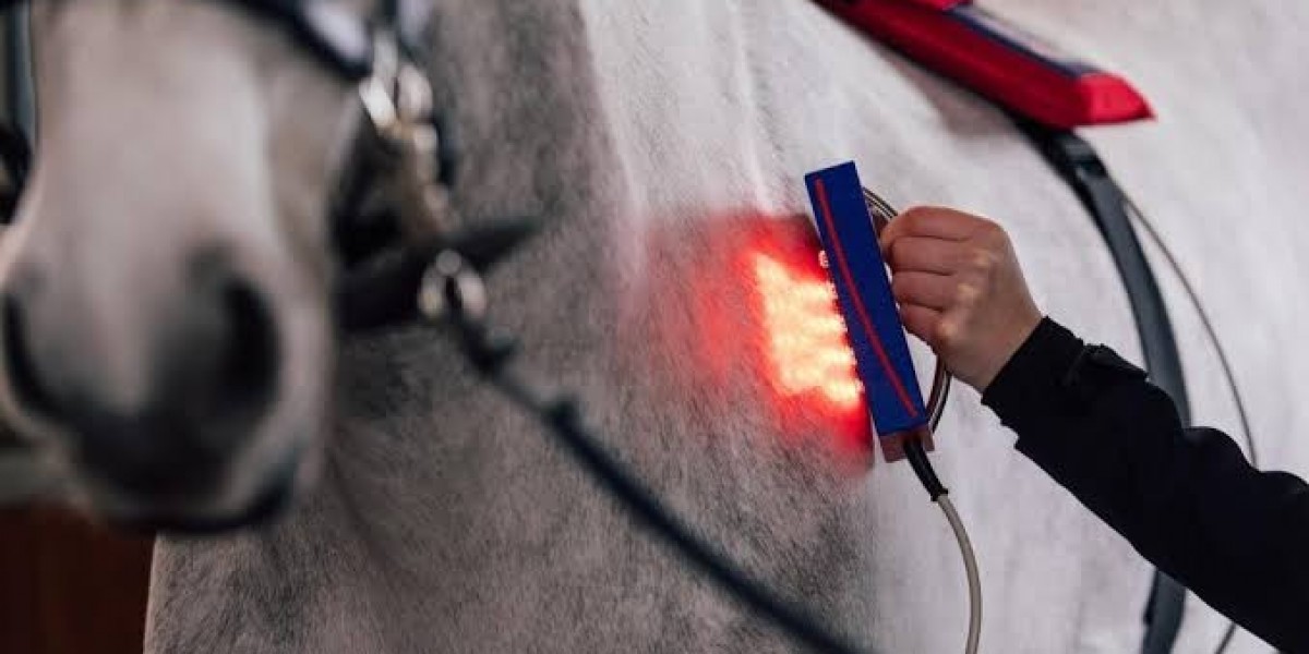 Red Light Therapy Horse for Equine Wellness | Sinocotherapy