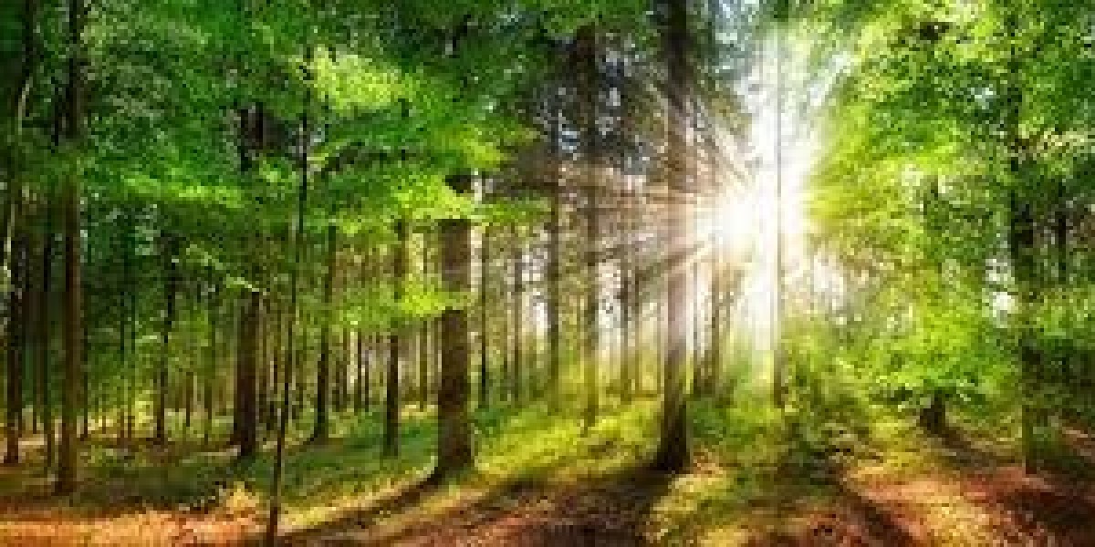 The Essential Resource That Sustains Life