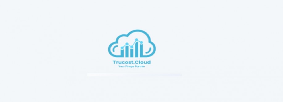 CLOUD TRUCOST OPC PRIVATE LIMITED Cover Image