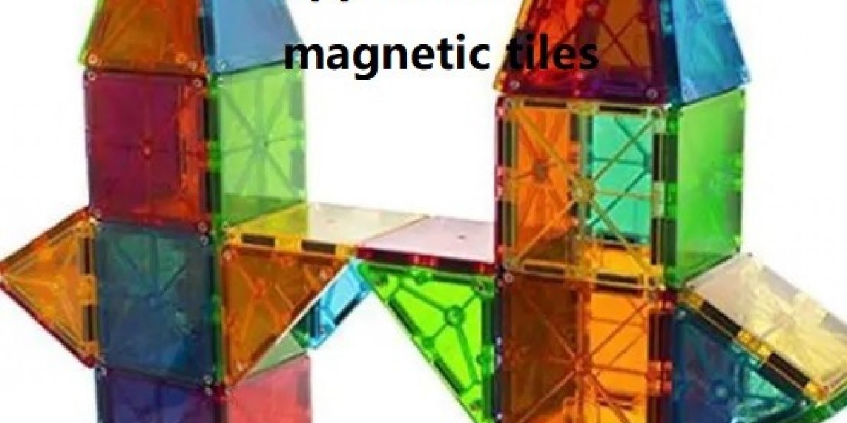 Magneticsegment Household Appliances Magnetic Tiles for Smart Integration